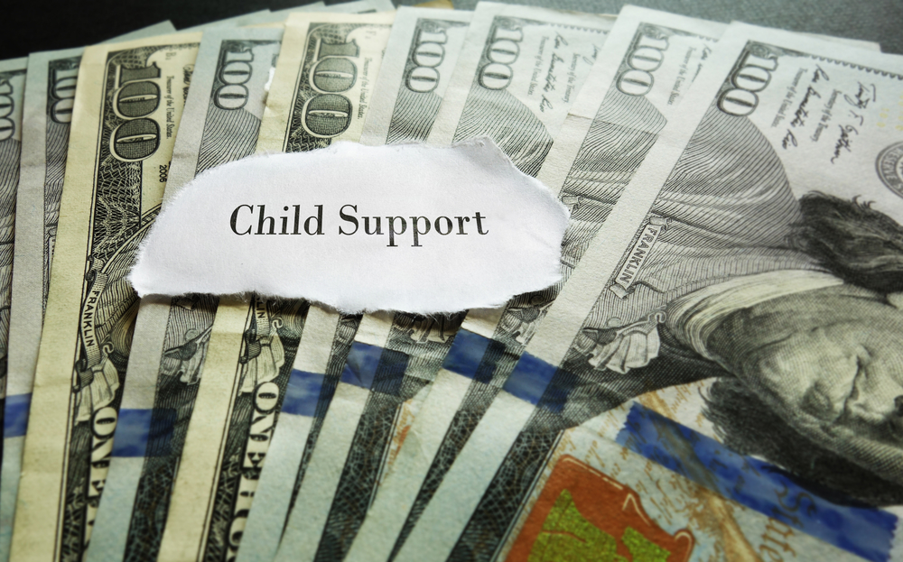 Child Support Guide: How is Child Support Determined in NC - Raleigh  Divorce Lawyers